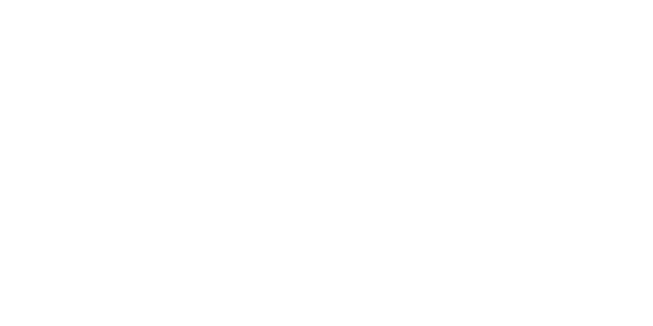 Shopicons Vorteile